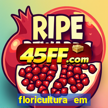 floricultura em franca sp